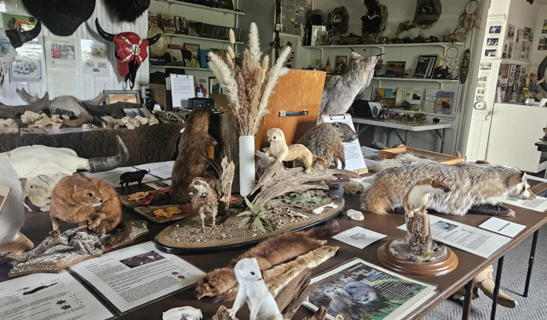 Gallery image